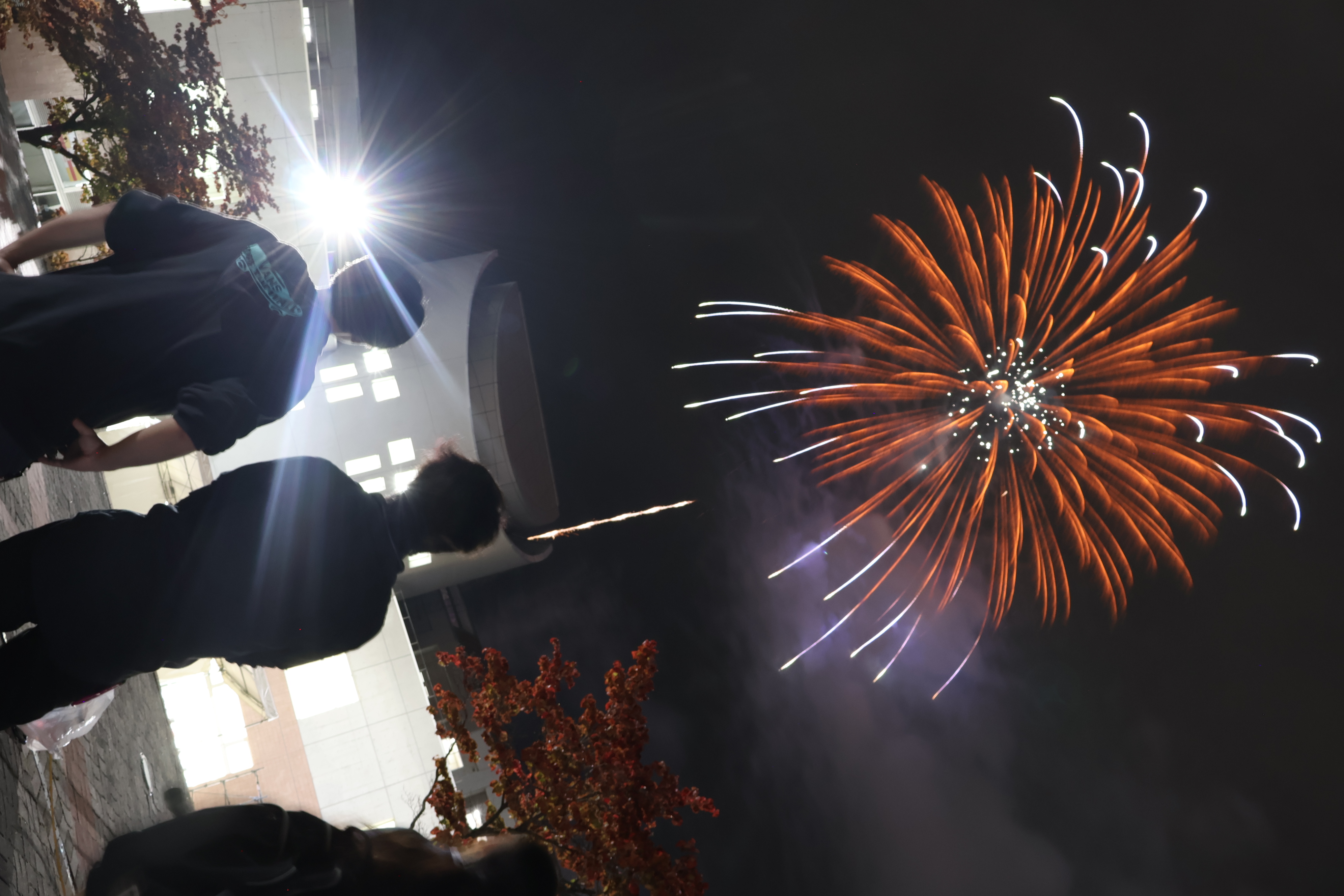 蒼翔祭2025 花火